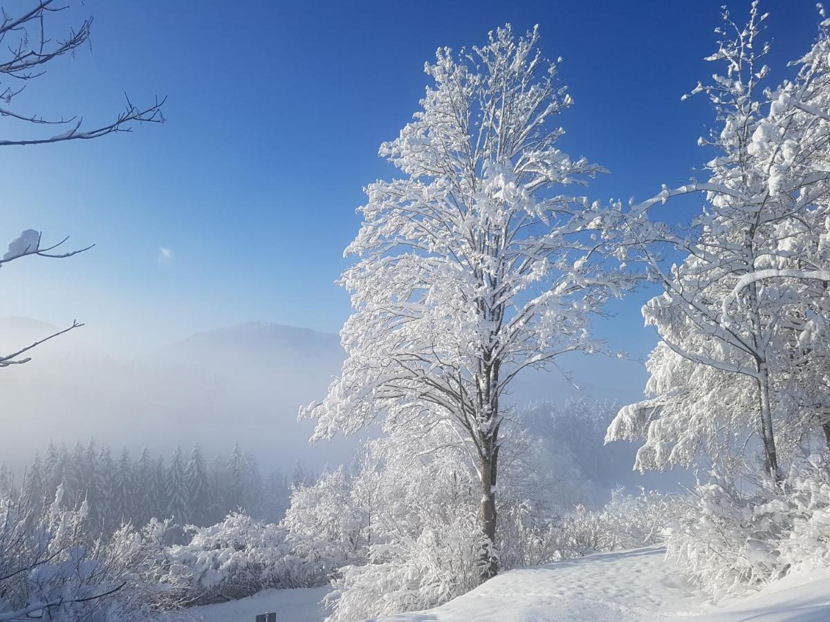 Ferienhaus Alexandra Nesselwang Dış mekan fotoğraf